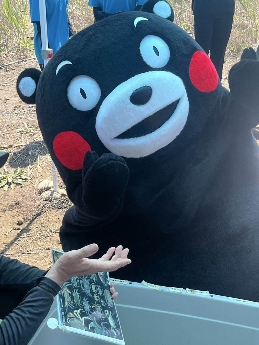 naruminii09t's tweet photo. @55_kumamon モンちゃん。おはくま。
今日も一日エイエイモーン！ https://t.co/DdYgS8bQXn