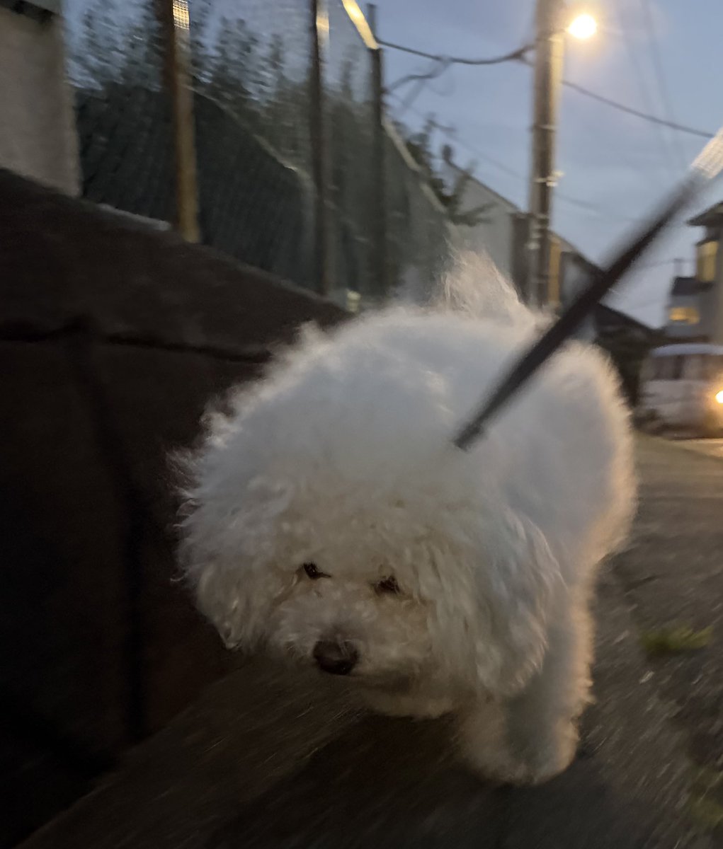 roarnodayo's tweet photo. 乗り気じゃない帰り道 https://t.co/cmpix5VAPw