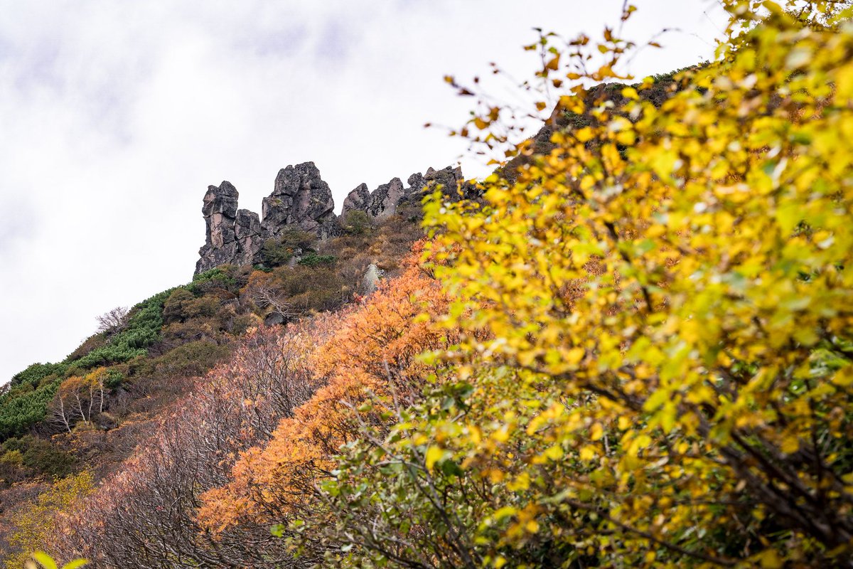 pe_ta_dosanko's tweet photo. #黒岳
#北海道 #写真で感じる北海道
#SonyAlpha #これソニーで撮りました
#写真で伝える私の世界 https://t.co/T7LWieaAp5