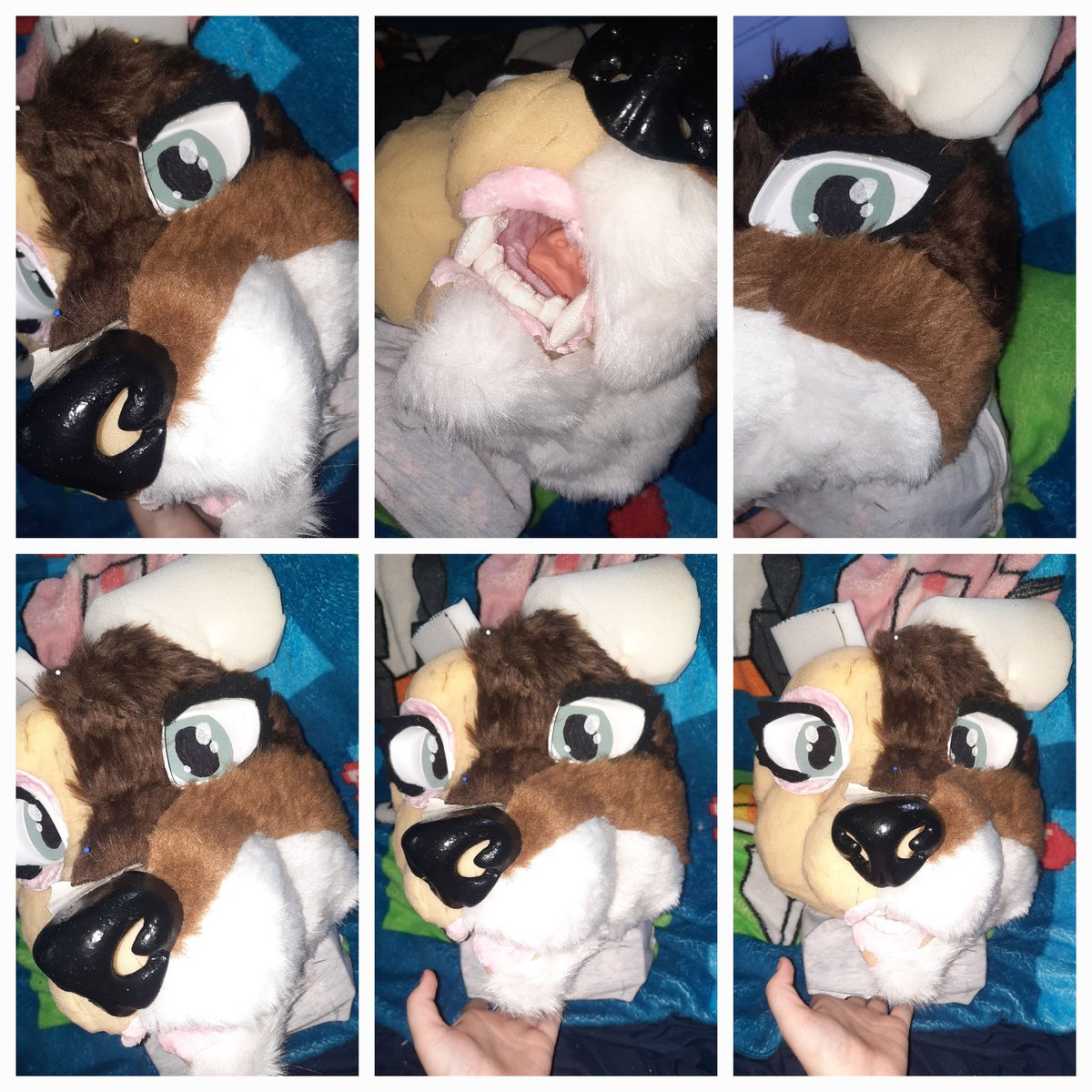 its_otter_chaos's tweet photo. Her hair is starting to partially come in!!
#fursuitmaking #fursuit #fursuitmaker #truesona #fursona https://t.co/tZxonwte8F