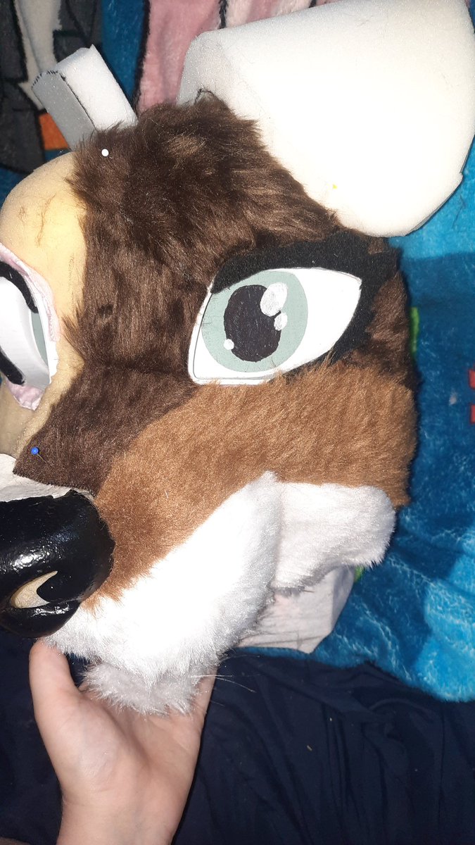 its_otter_chaos's tweet photo. Her hair is starting to partially come in!!
#fursuitmaking #fursuit #fursuitmaker #truesona #fursona https://t.co/tZxonwte8F