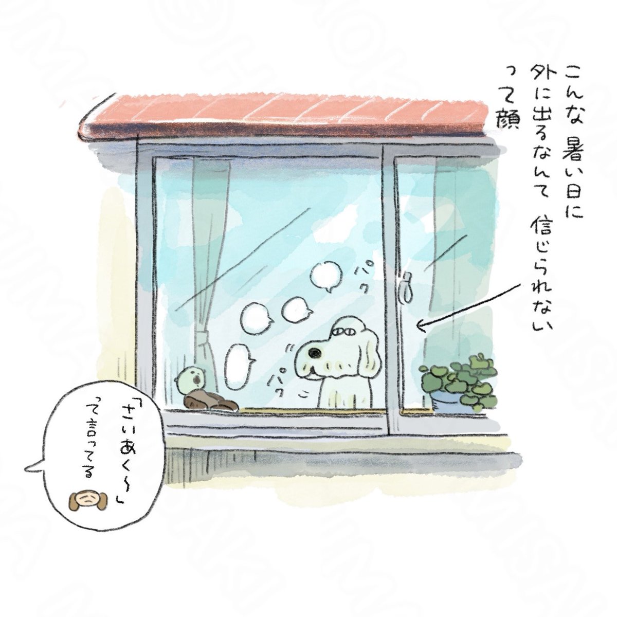 hino_kuma_'s tweet photo. ☀️☀️☀️ https://t.co/uFqGNnvj3l