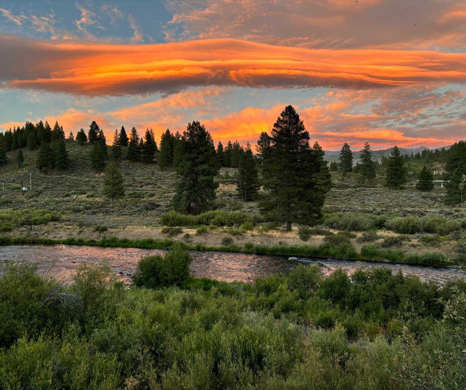 real_carroll's tweet photo. ☀️ July is packed with fun in Truckee &amp; Lake Tahoe! From farmers markets and live music to community festivals and outdoor adventures, see what's happening this month. 🌲
https://t.co/N8KrHg57Ea https://t.co/uxJRljY8Mh