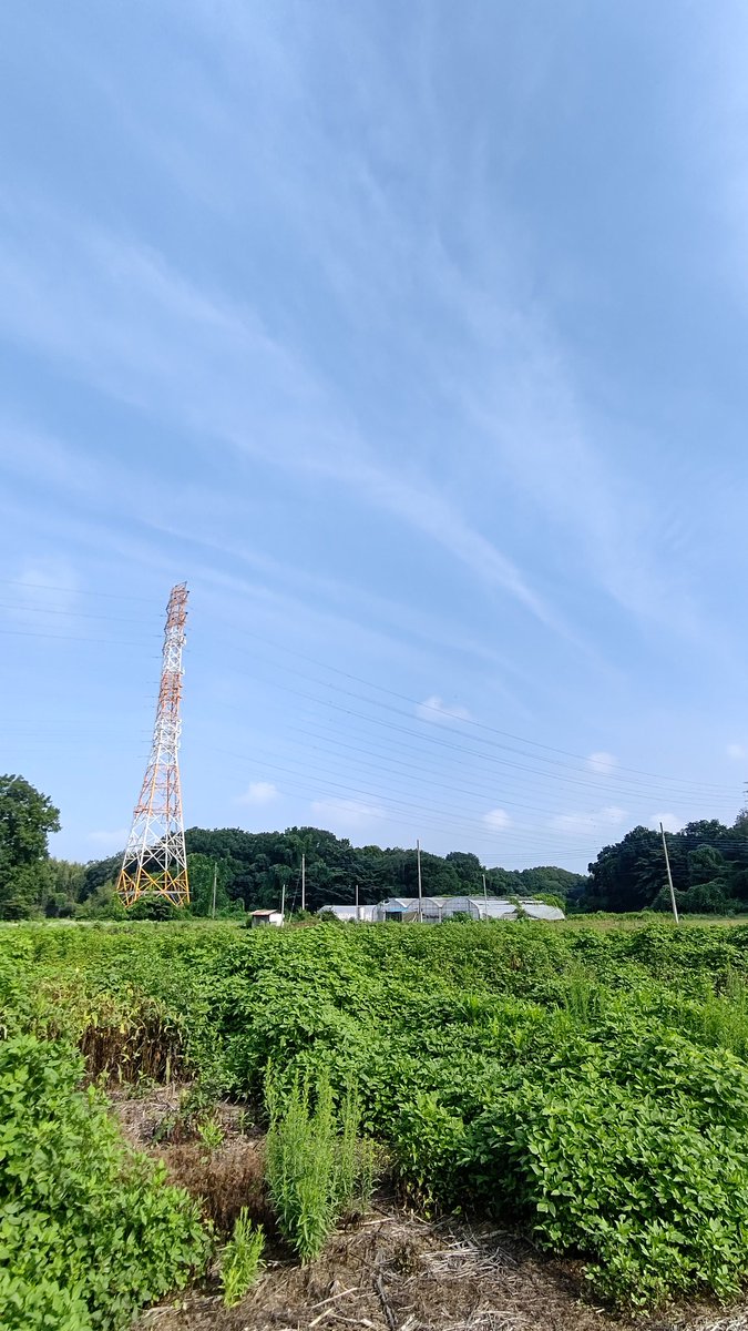 so197219's tweet photo. 今日は
久々に青空の面積の
多い空模様です☀️
気温 湿度は変わらず
高めの朝です🍧 https://t.co/HxzlYjs4HV