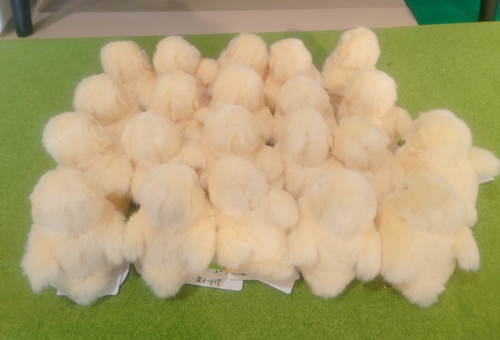 ystk_shiroi's tweet photo. ついにこの日が来た！🐥🐤わーピヨ！わーピヨ！おっ！ぴよキングことひよこの王様来たぁ〜！！
そして気高き「king of kings」も再び君臨！本日（7/15）10時より販売開始！※「ひよこの王様」はセール対象外だぴよ、御了承下さいぴよm(_ _)m ＃吉徳 ＃白井店 ＃ぬいぐるみ ＃ひよこの王様 ＃ぬい撮り https://t.co/2A5eBUxAAc