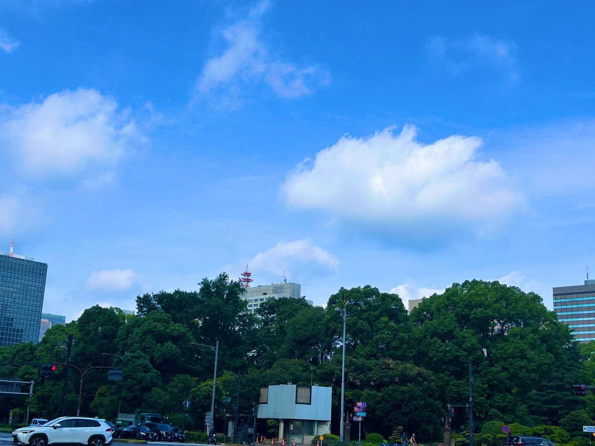 voisang's tweet photo. おはようございます。ちゃんと出勤しています。

……東京も十分暑いな！ https://t.co/XQZYOmtlzR