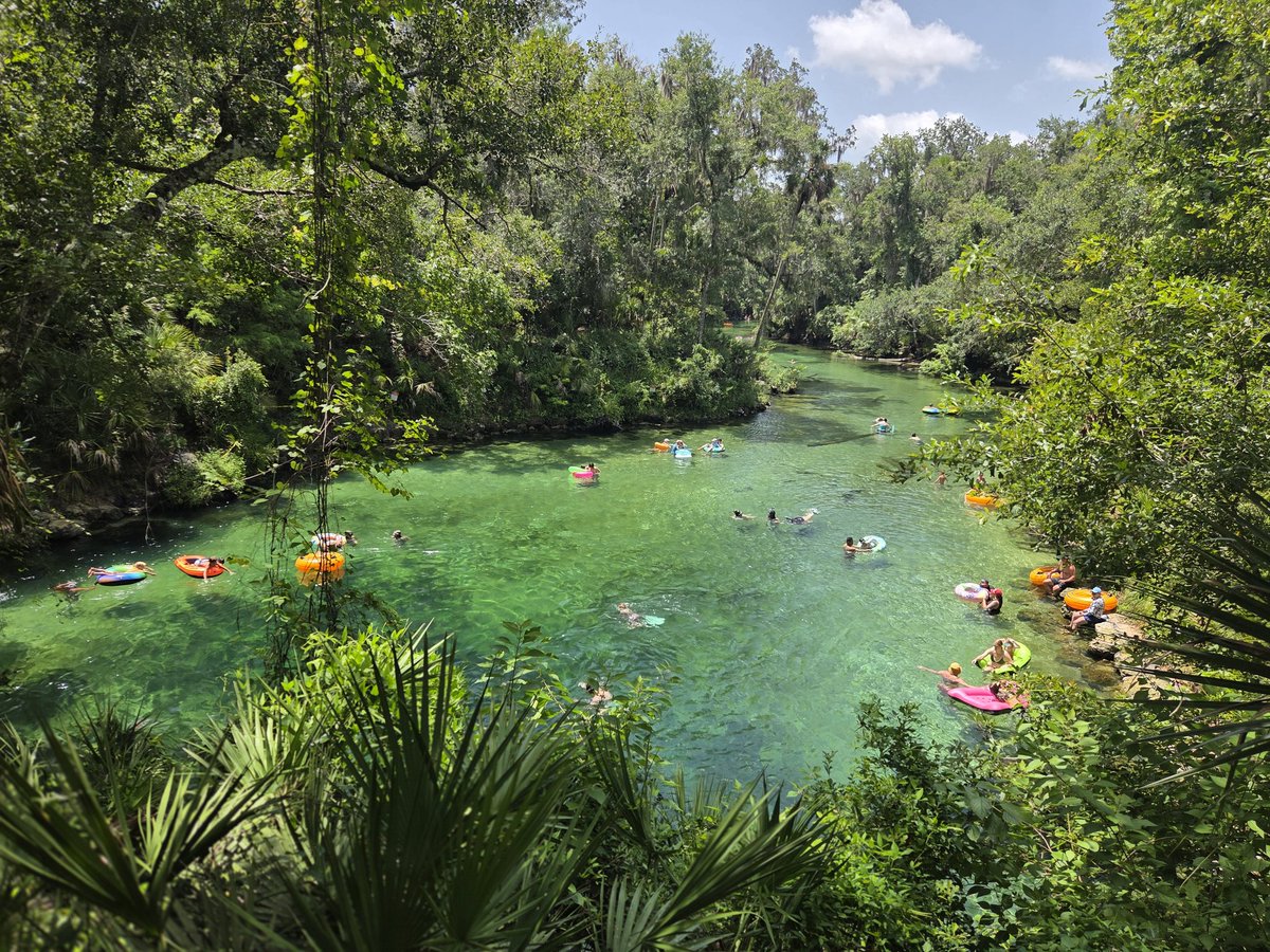 BredWoolfe's tweet photo. Blue Spring State Park, Florida. https://t.co/6mhy7BDBx6