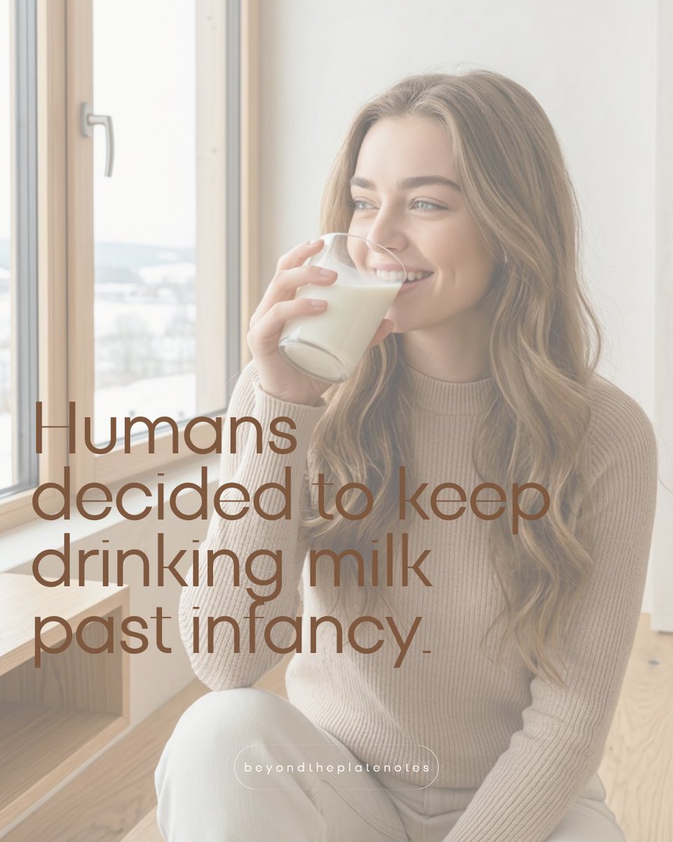 PlateNotesJP's tweet photo. Every choice shapes the world.
Not just for us,
but for someone else, too.
#milk #dairy #futureoffood https://t.co/qz35zmTupS