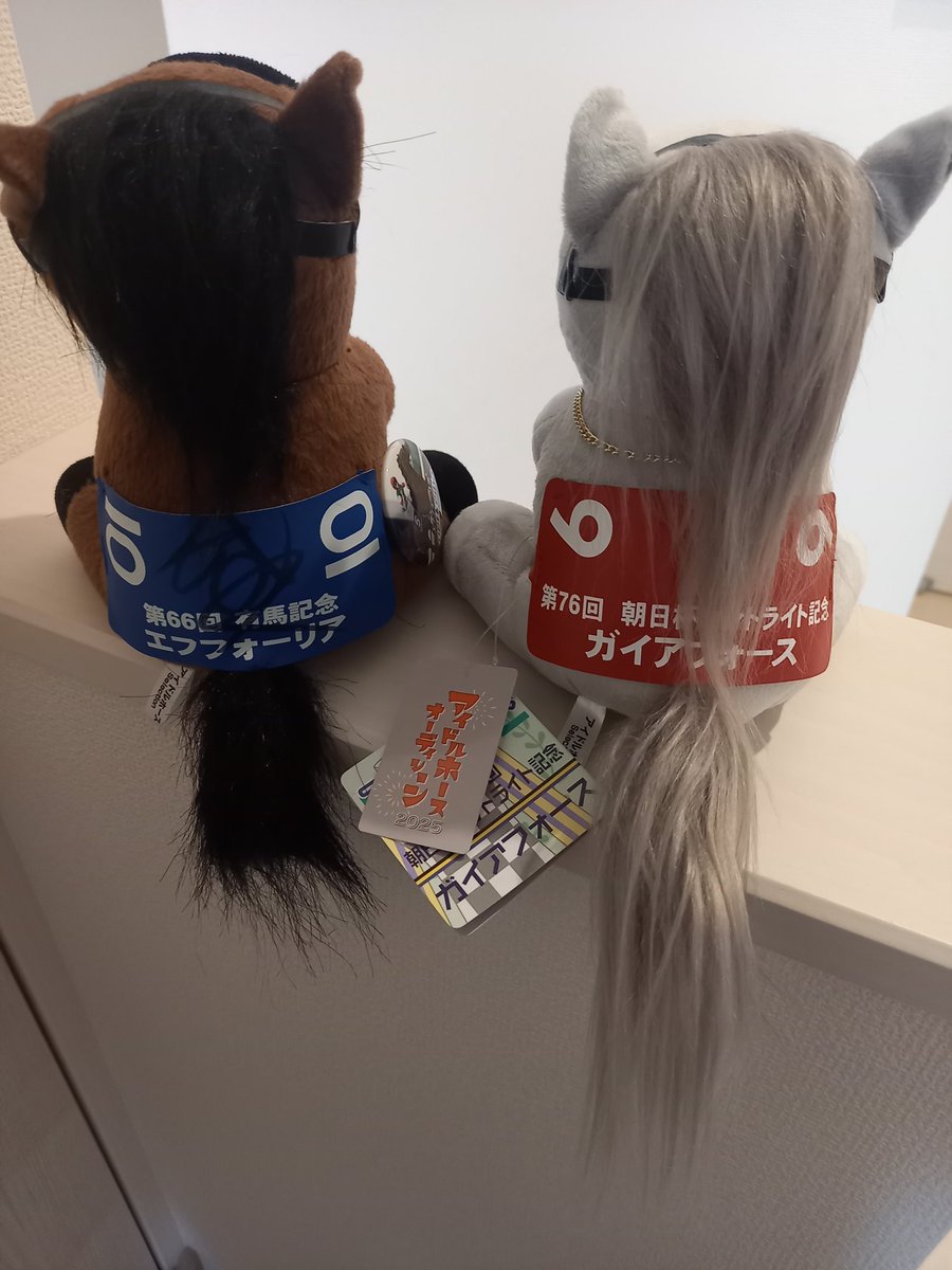 eri0924's tweet photo. そして我が家にもガイアフォースが来ました。
ロン毛でかわいいですね😍 https://t.co/NAA8gUCbGc