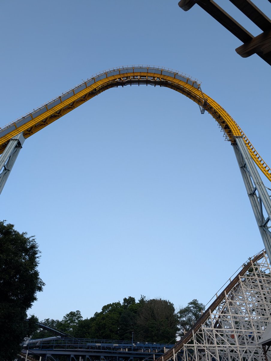 Meg 📚🎢 tweet media