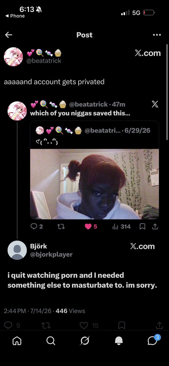 Björk tweet media