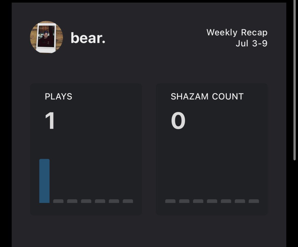 bear tweet media