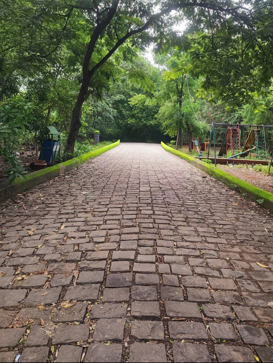 ahujasun's tweet photo. "Every path has a story. Some lead to places, others lead to peace. 🌿✨"
#MorningVibes
#Nature #NaturePhotography #Peace
#Serenity
#GreenEscape #Photography #Mindfulness #WalkWithNature #Inspiration #LifeJourney
#XPost https://t.co/ydnL9puqYm