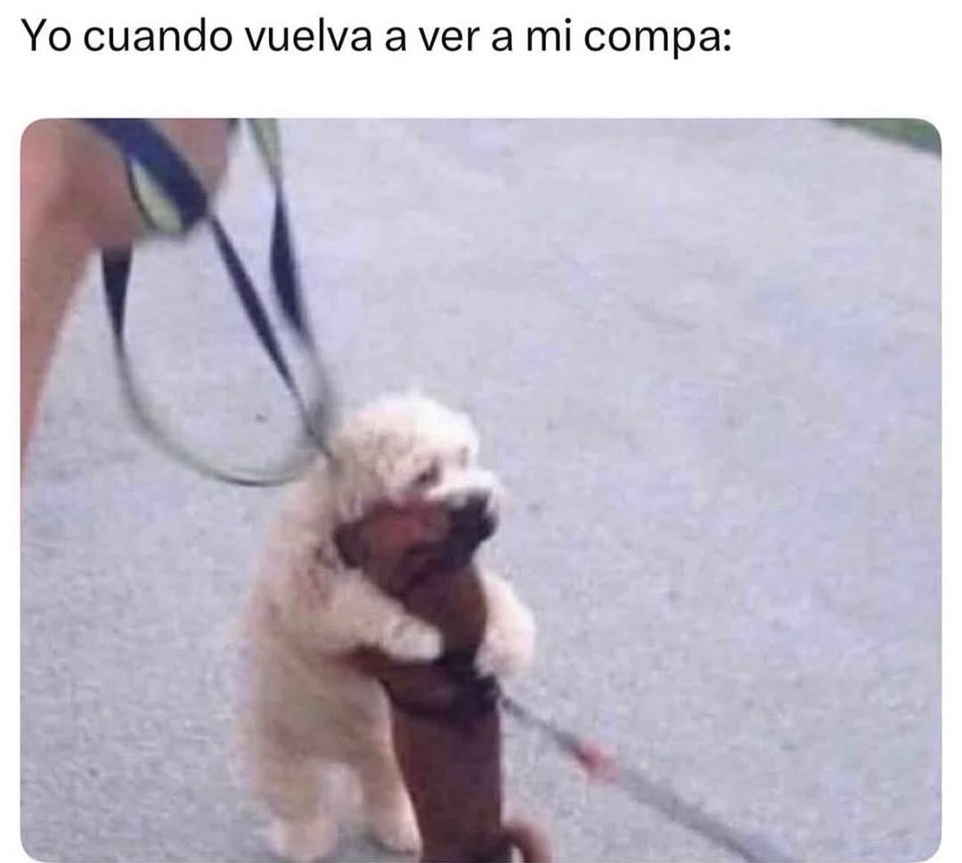 MundoDeBigotes's tweet photo. https://t.co/FuR4KFU7TT