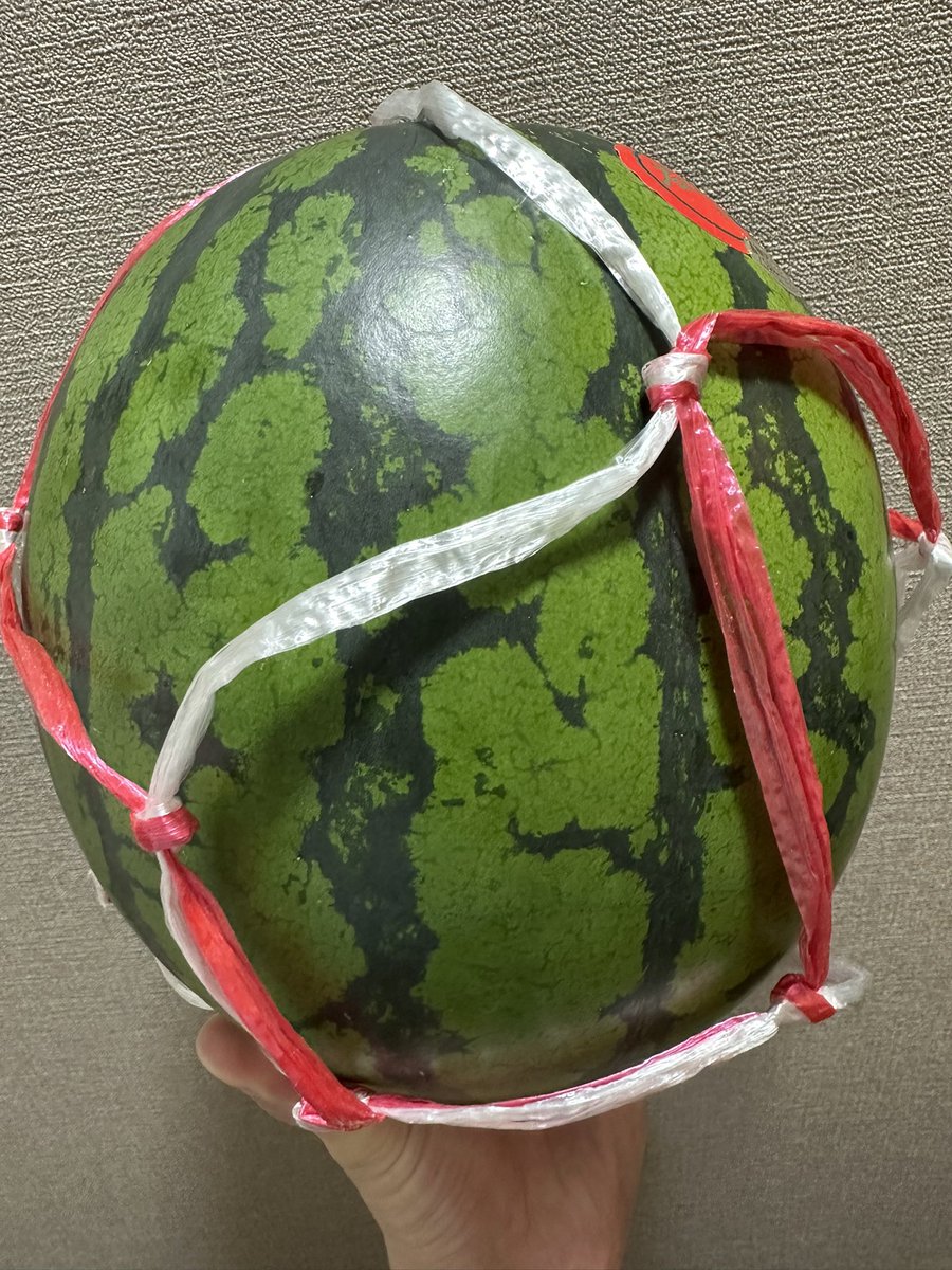PaPaPaPAAKUN's tweet photo. 生まれた！

これからも活動頑張っていくよーー！

目指せ登録者20万人💪💪

これは誕プレのスイカです🍉 https://t.co/QHInxmp63f