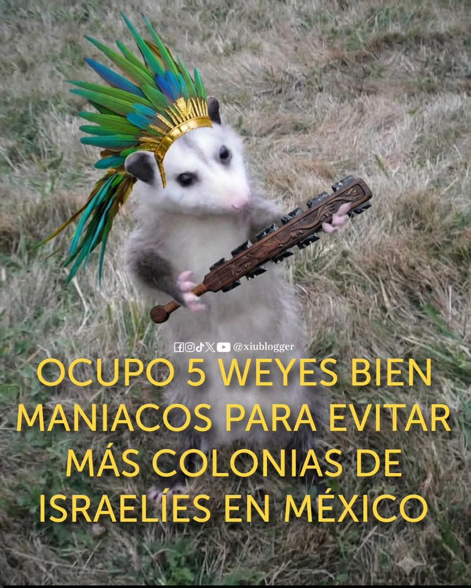 nxstypxet's tweet photo. https://t.co/cflt38A4po