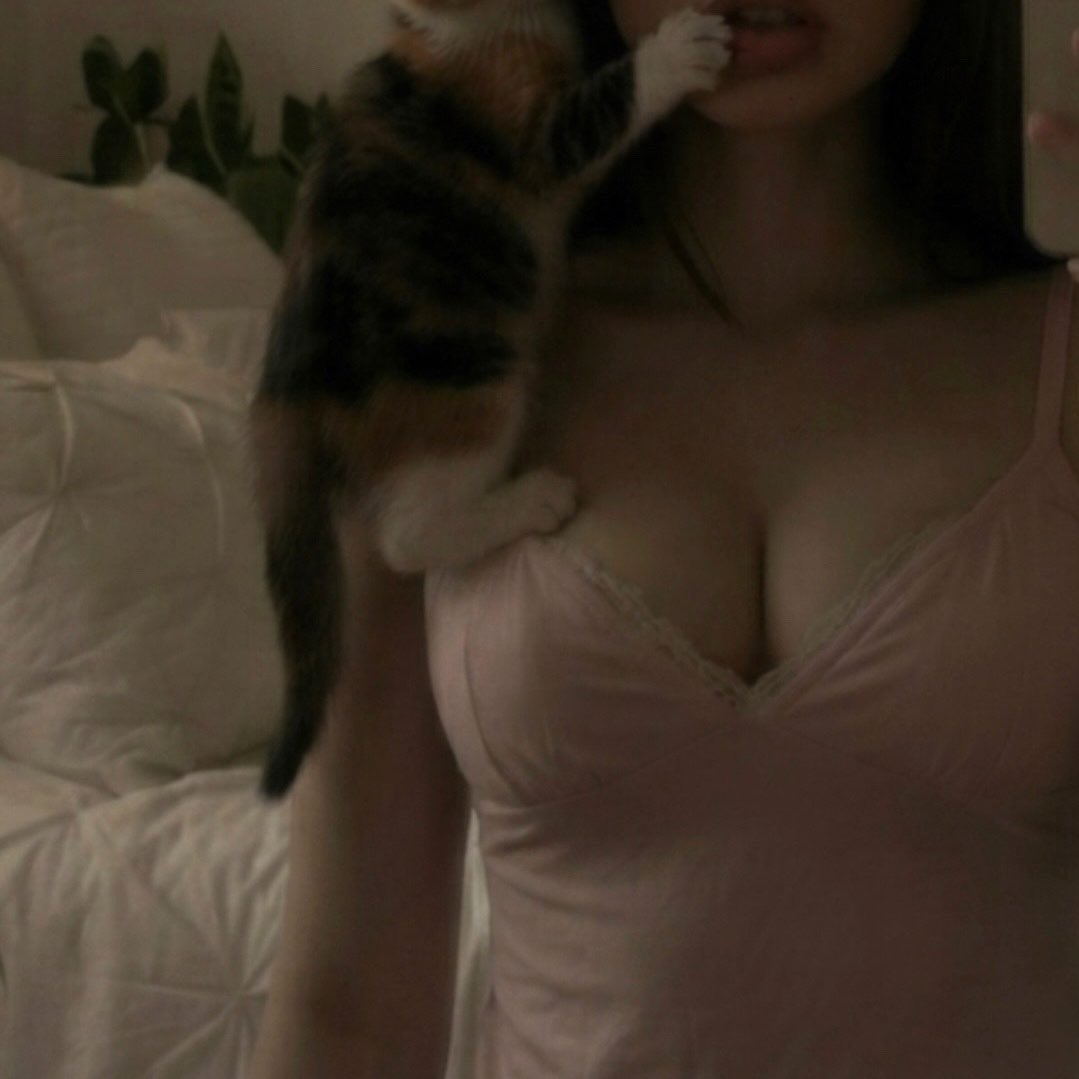 l8i7o's tweet photo. مياو 🐈 https://t.co/yeMJMlvV4G