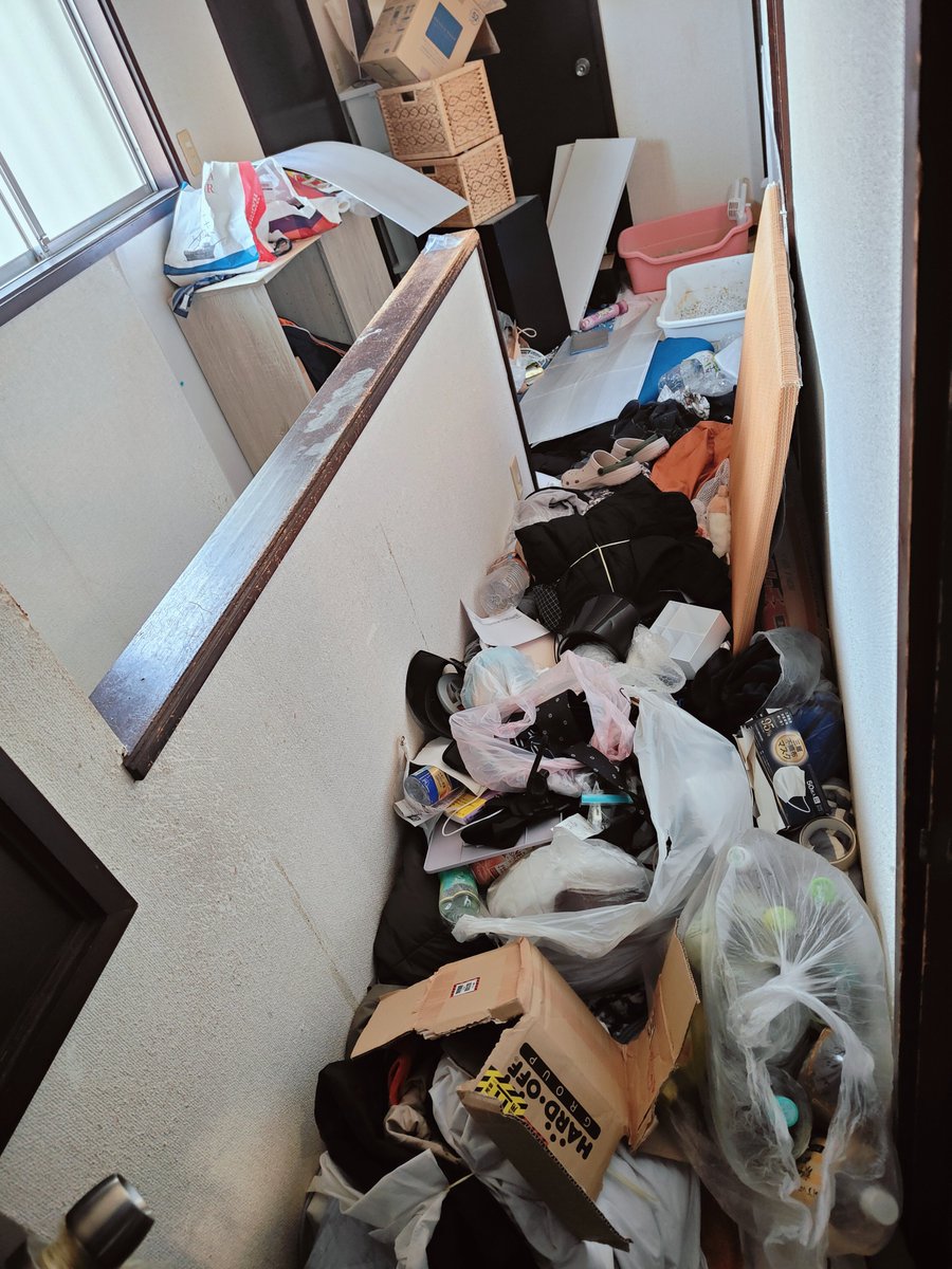ゴミ屋敷掃除RTA 約8時間経過 床は見えるようにできたけど 果たして48