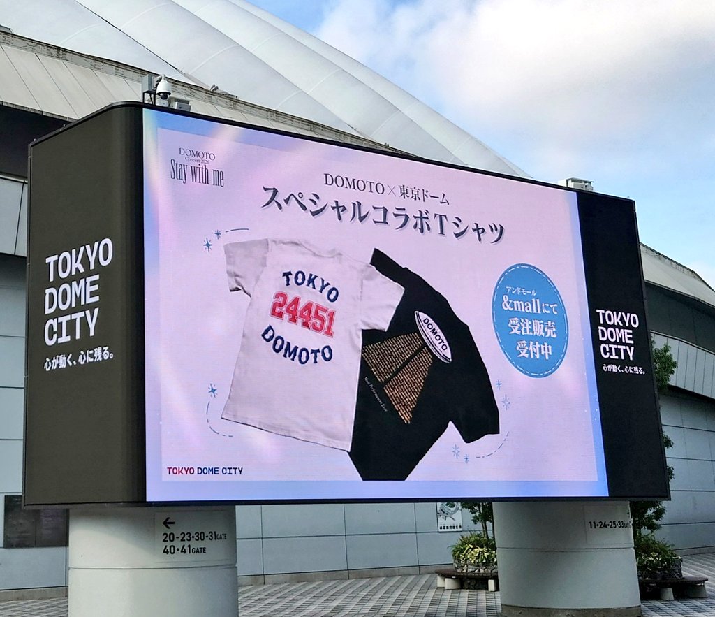 DOMOTO✕しゅうさん✕東京ドーム スペシャルコラボTシャツ