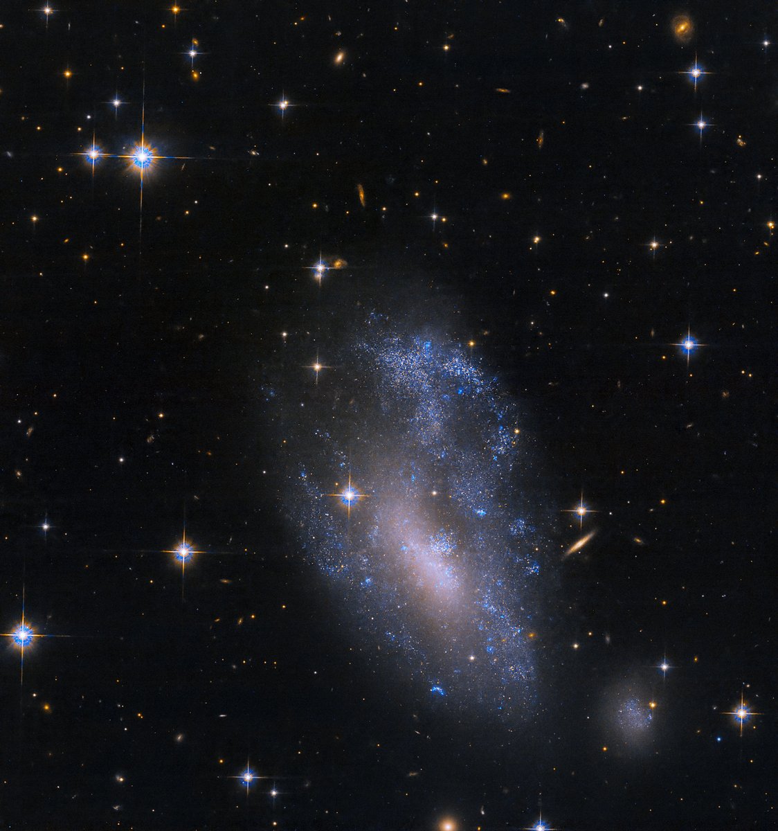 WorldAndScience's tweet photo. UGC 3912 offers an intriguing case where a gravitational brush has bent its spiral shape but left its stellar population intact.

Credit: NASA, ESA, and C. Kilpatrick (Northwestern University); Processing: Gladys Kober (NASA/Catholic University of America) https://t.co/1hbHWvbUMt