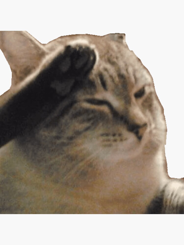 Pyro_65 tweet picture