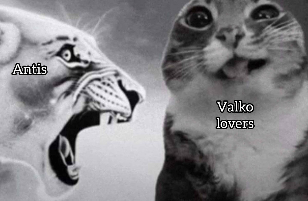 Aye defensora de Valko 🇵🇾 🐺🔙 tweet media