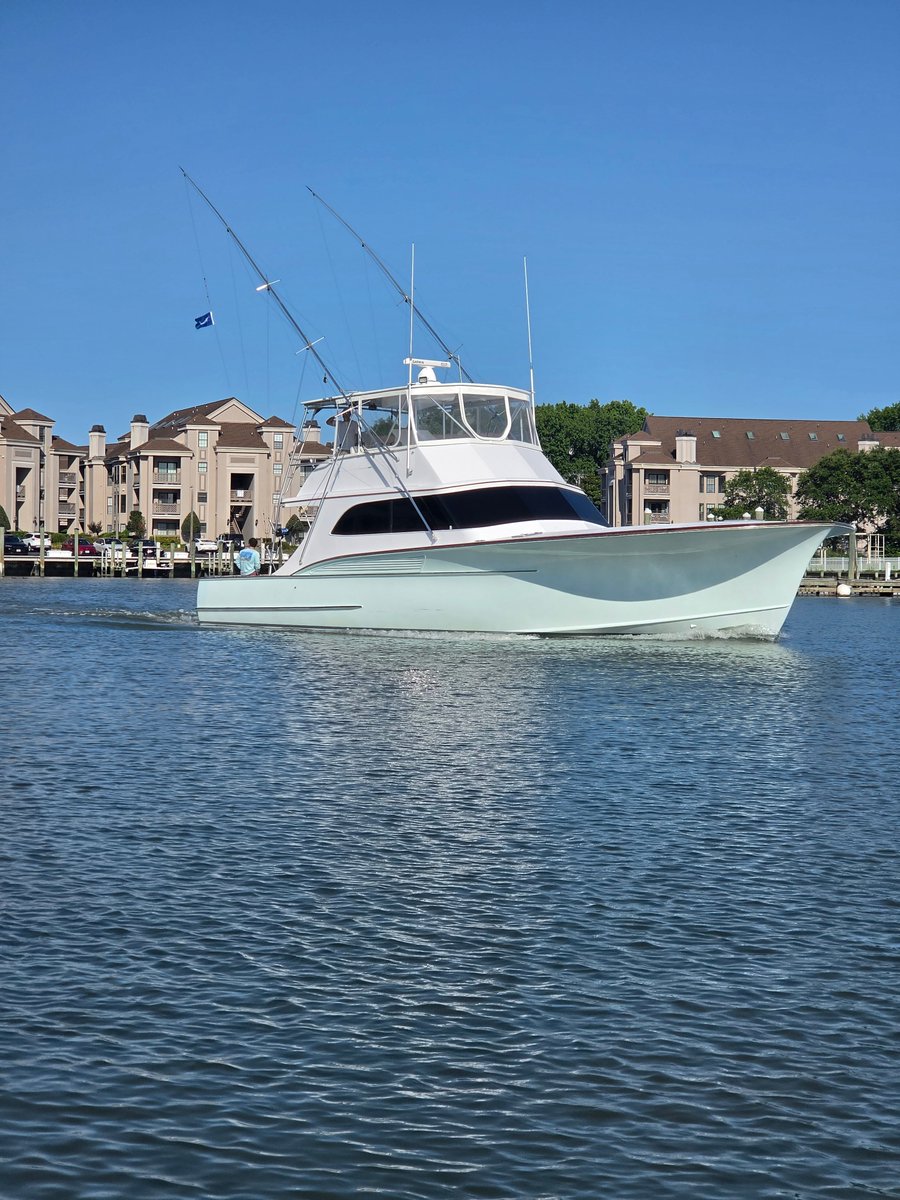 Billfish Report tweet media