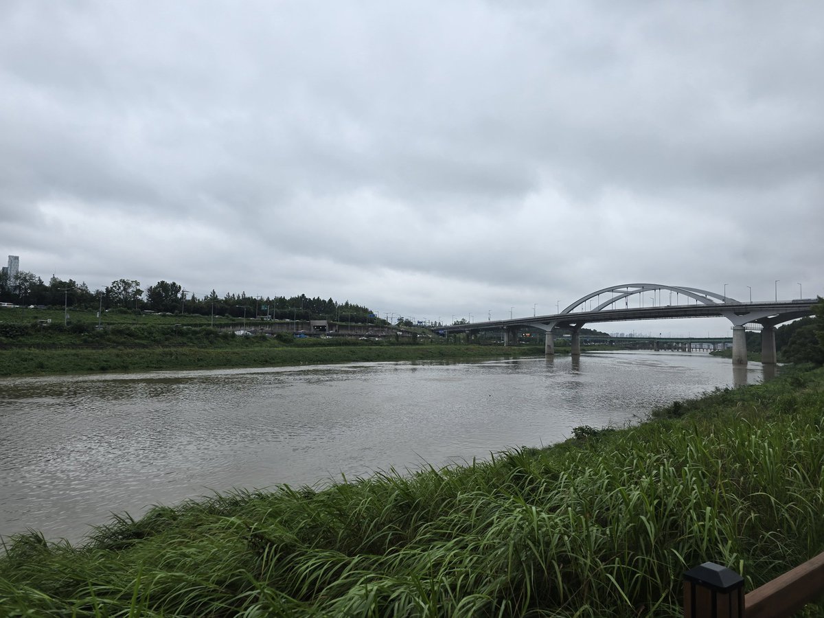 disaaming's tweet photo. 雨中散歩 https://t.co/t6MydDAEX5