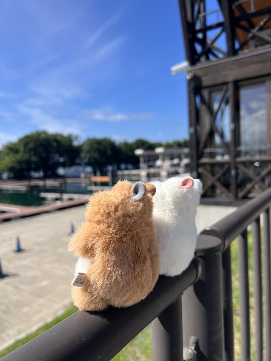 kaede7474925's tweet photo. 到着！
レッツゴー！ https://t.co/2XHylJau9F