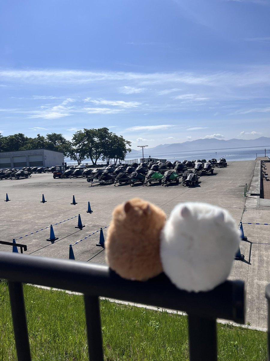 kaede7474925's tweet photo. 到着！
レッツゴー！ https://t.co/2XHylJau9F
