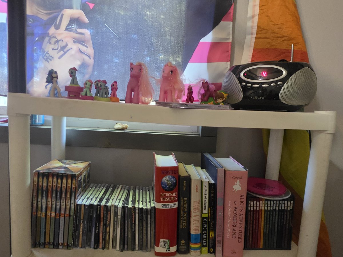 corpsequil's tweet photo. shelf π€π€ #mlptwt #musictwt #booktwt #dwtw https://t.co/qTAw7vRU9J