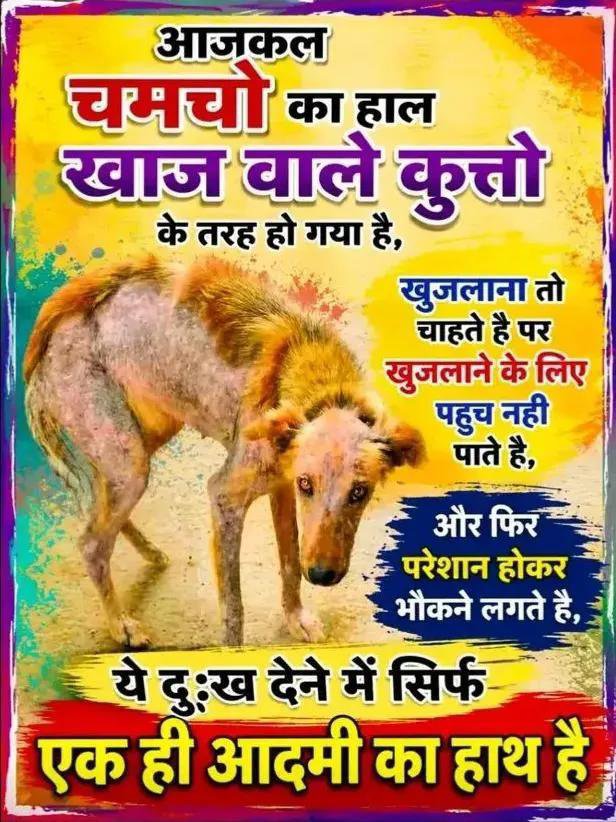 andykandy58's tweet photo. @KavR2025 @ssrajputINC https://t.co/kwuLMyWsXC