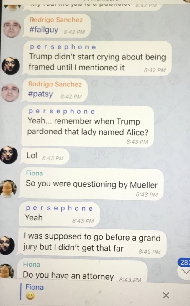The Knows tweet media
