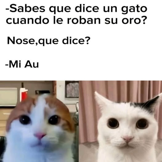 MsCiencia2's tweet photo. Pobrecito https://t.co/ypzePoOOTp
