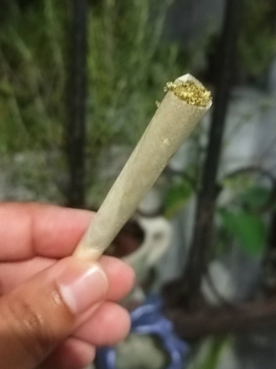 Alfa_1981's tweet photo. 😋 https://t.co/SCGeOPxOxb