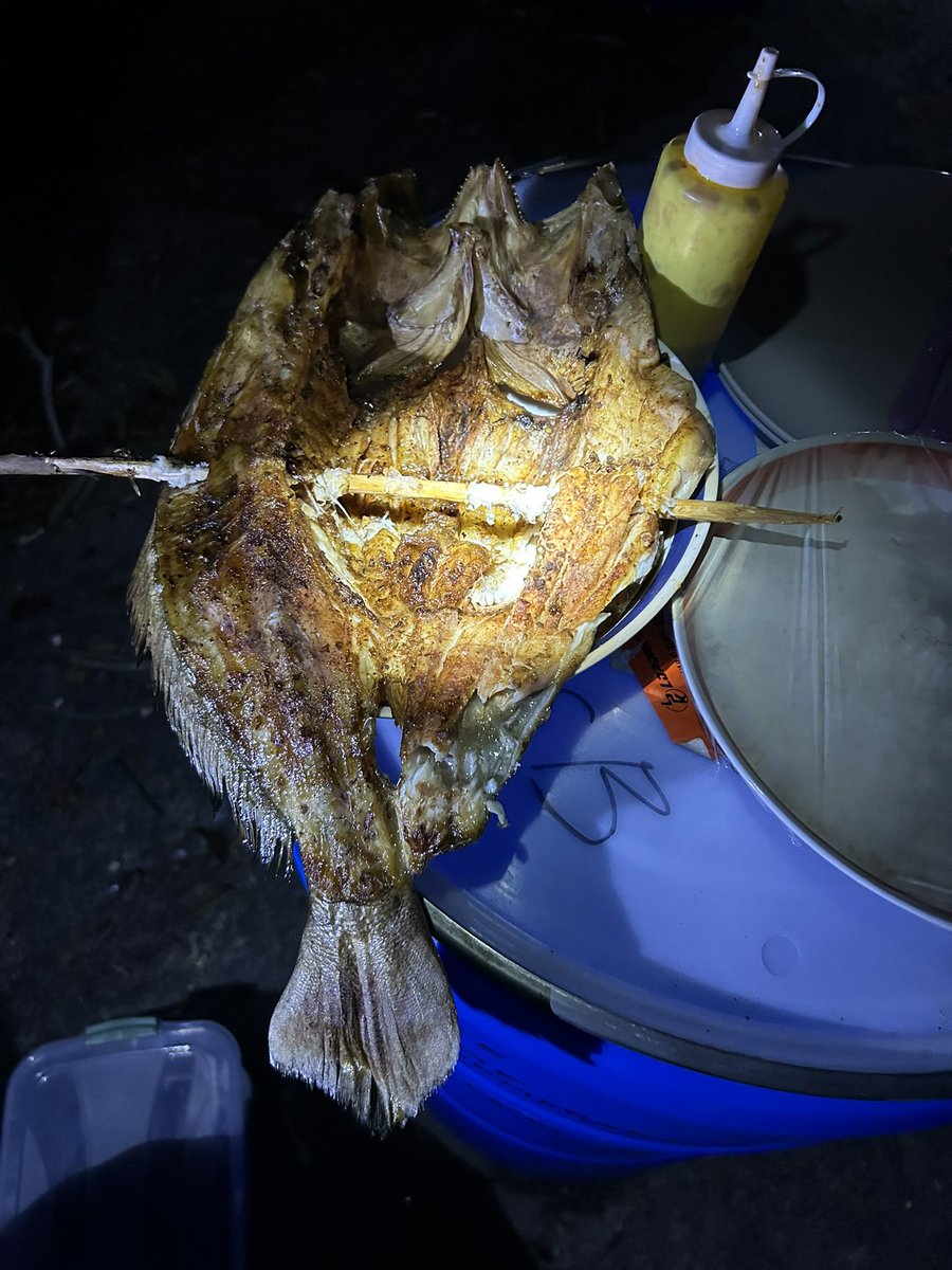 SweepTheLeg45's tweet photo. @crappiedoc All your posts are legit. 
This was in the Amazon rainforest last year: peacock bass, leopard catfish, arrowana https://t.co/OK1WVfrfwb