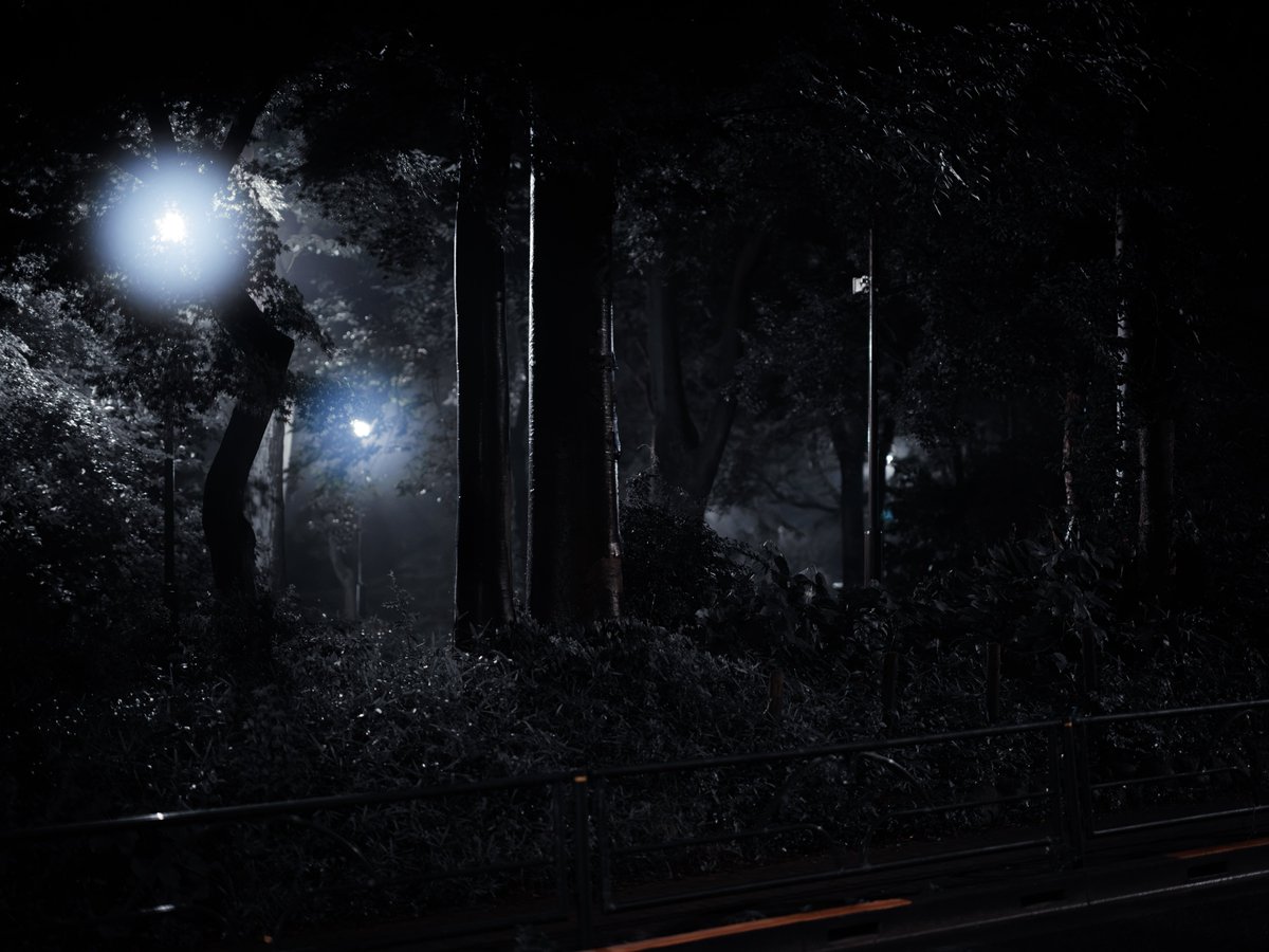 Yuya_Fylis's tweet photo. The night redraws the familiar.
Each step reveals a different silence.
#GFX100SII
#nightphotography
#silentwalk https://t.co/RxpIUSx68x