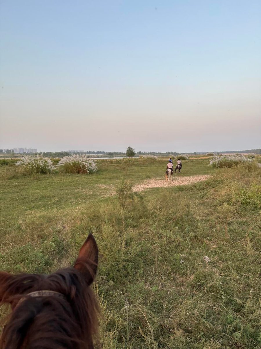 KarinaUSA1502's tweet photo. Before &amp; after the best part of the day 🐎🌅 https://t.co/jqrv2j5BS7