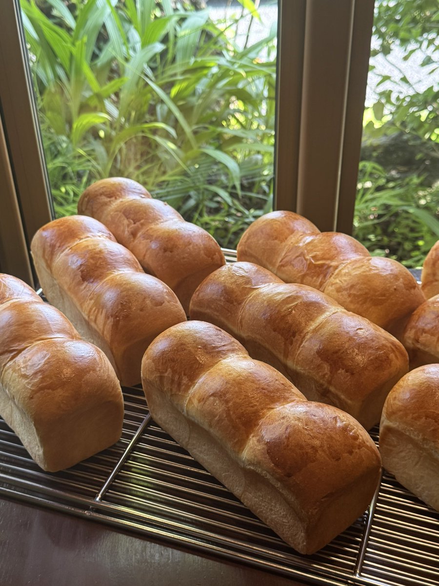cake_mikado's tweet photo. 『ミカドの食パン』
1個600（税込¥648）
予約優先

🍞7/18(土) 
お引き渡し12:00〜15:00
（12:00焼き上がり予定）
.
🍞7/22(水) 
お引き渡し 16:30〜18:30
（16:30焼き上がり予定）
.
🍞7/25(土) 
お引き渡し 12:00〜17:00
（12:00焼き上がり予定）

売り切れの際はご容赦ください https://t.co/PoUJBauX6y