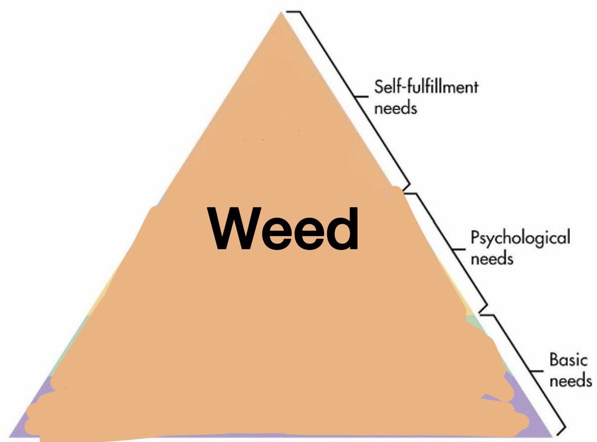 pwiercer's tweet photo. #weedtwt #stoner https://t.co/Md5vg7kyih