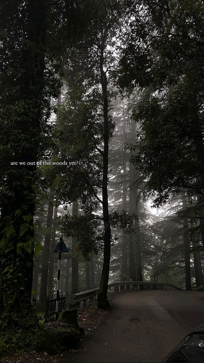 greenvibe's tweet photo. the woods ! https://t.co/6O14JDXKtn