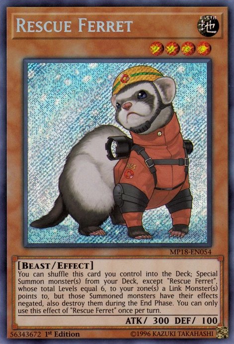 FlamigoGaming's tweet photo. @AbyssCody @Mewseum_ @PokeTCGAlerts Never really got into Yugioh but my favorite card is the Rescue ferret (frame one bought it when I discovered it)

JUST LOOK AT IT❤️‍🩹 https://t.co/vrYb1pes3y