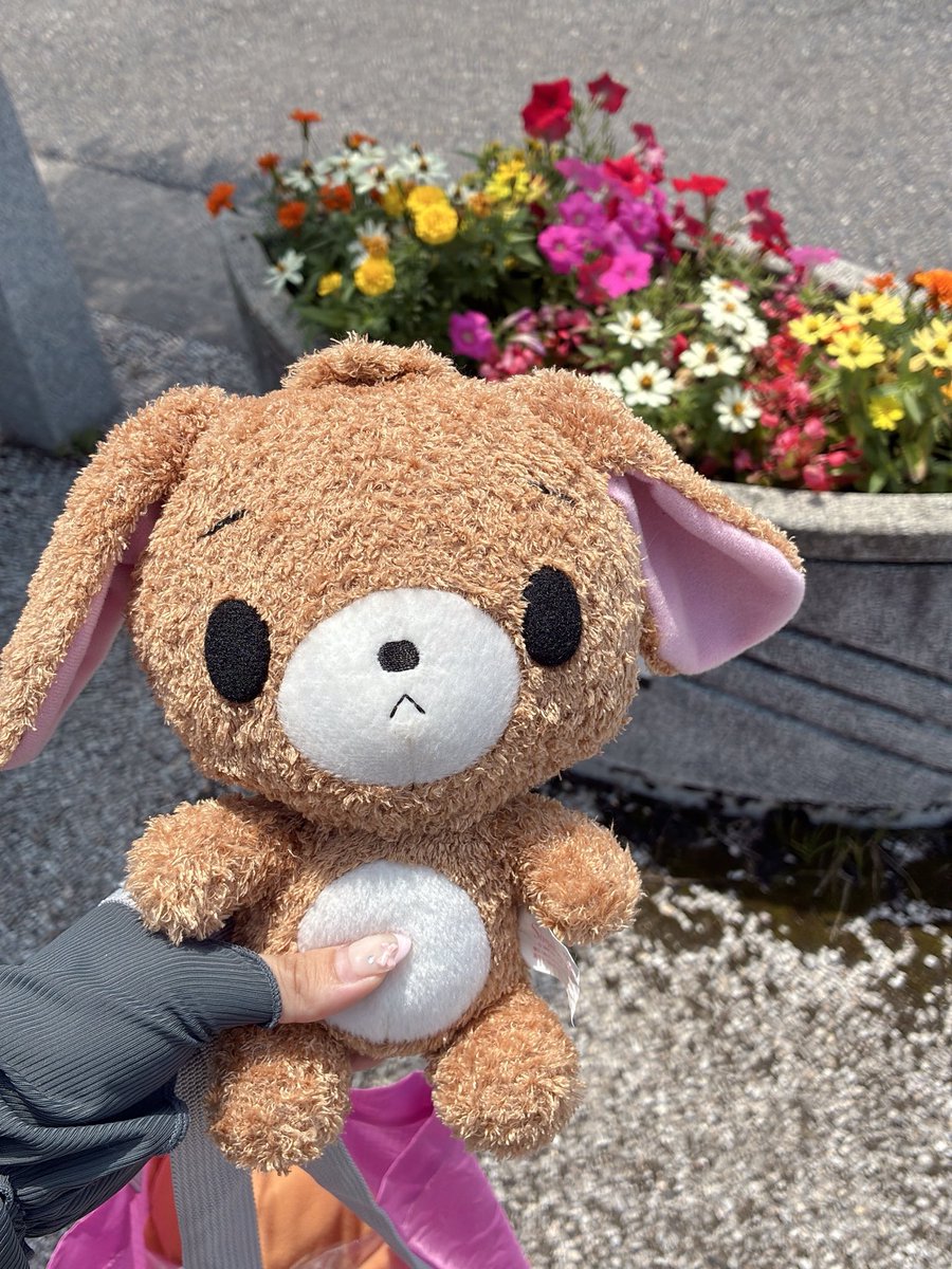 くま (@kumakuma327k) / Posts / X