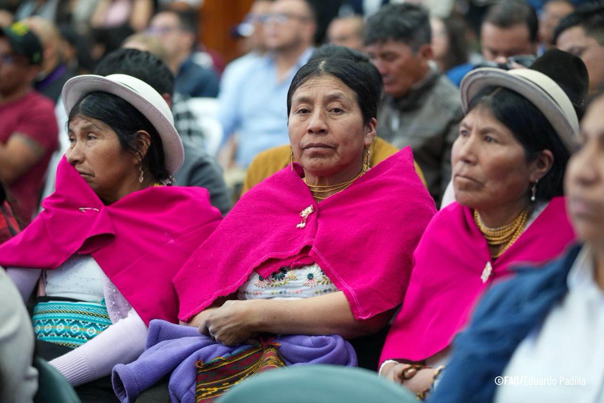 FAOEcuador's tweet photo. @AgriculturaEc, a través de PIDARA, lanzó el Catálogo "Del Productor a tus Manos". La @FAOEcuador acompañó este lanzamiento donde más de 500 productos de 200 productores y organizaciones estarán conectados directamente con los consumidores.🌾 https://t.co/6HDYQSM2Hs