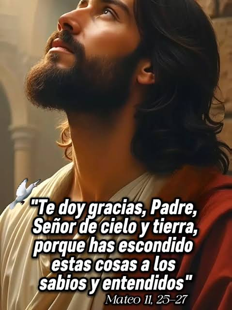 MarleneDeCroce's tweet photo. Lecturas de la Misa del 15/07/26. SAN BUENAVENTURA. MEMORIA OBLIGATORIA. 1ra lect Is 10,5-7.13-16. Salmo 93, 5-10.14-15. ℟. El Señor no rechaza a su pueblo. Evangelio Mt 11, 25-27. Has escondido estas cosas a los sabios y se las has revelado a los pequeños. 🙏🙏🙏🇻🇪🙏🙏🙏 ePrex https://t.co/sM6A2MOQOA