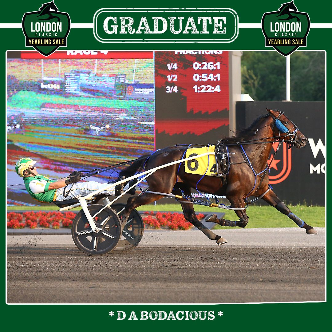 woodbinephotos tweet picture