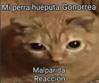 AleDragoniers's tweet photo. @bubblinniee Es que ya no podemos esperar nada de ese tipo de personas (ya duerman a esa tipa) https://t.co/kE8ubqhvE3