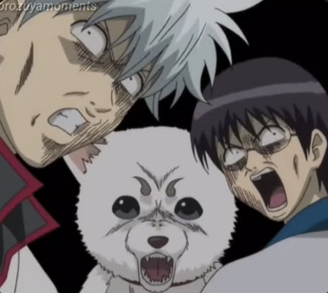 dr yaoi 🏴🇪🇸 tweet media