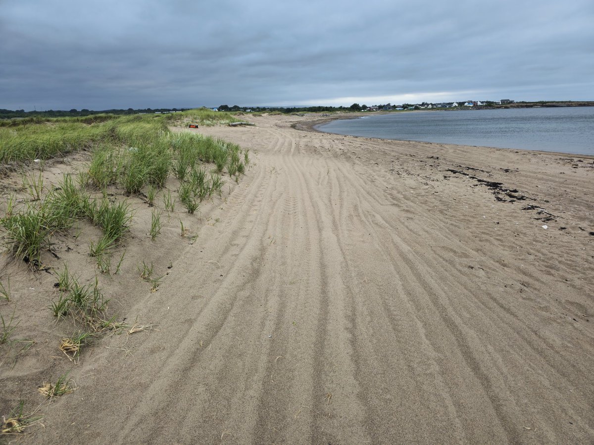 frankiemacd's tweet photo. Here is the Florence beach in Sydney mines Nova Scotia i took that picture again

Taken by Frankie MacDonald https://t.co/DRVLlzySPA