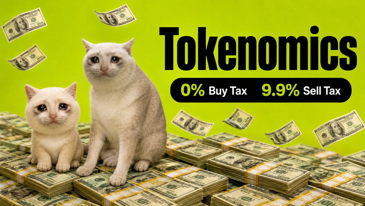 Mini Cash Cat tweet media